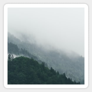 SCENERY 09 - Mountain Forest Tree Misty Fog White Cloud Magnet